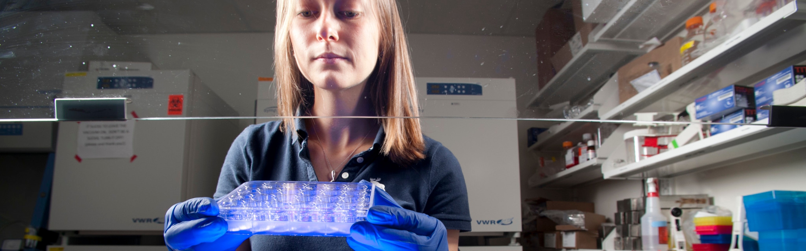 A Duke Engineering graduate student examines an LED panel