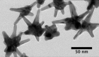 A handful of star-shaped nanoparticles with multiple prongs 