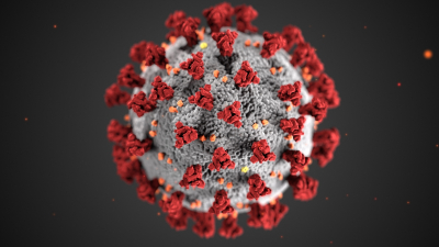 This illustration, created at the Centers for Disease Control and Prevention (CDC), reveals the structure of the coronavirus.