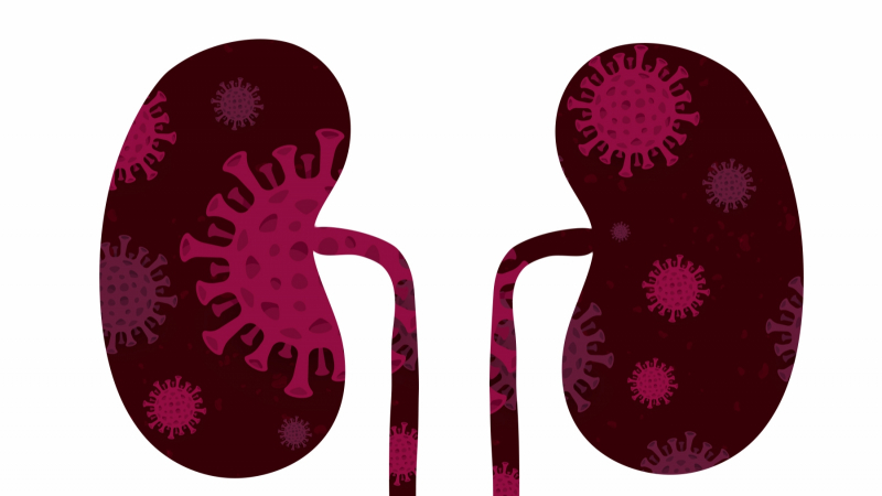 illustration of lungs with coronavirus