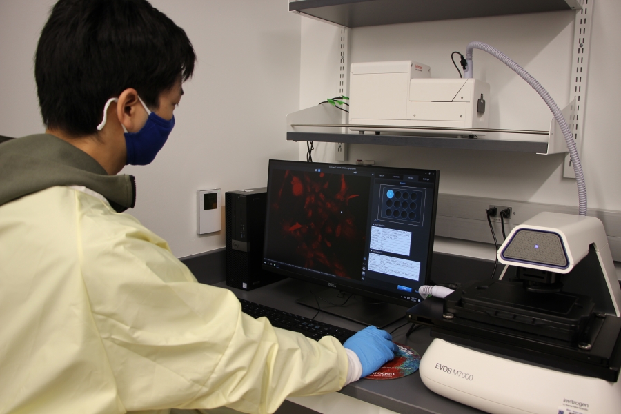 George Mou completes work in the lab
