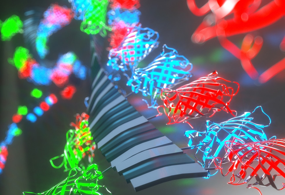 immunoengineering illustration from Collier lab