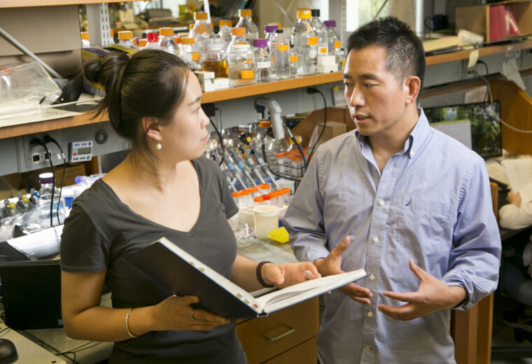 Graduate student Yangxiaolu (Will) Cao speaks with Lingchong You in the You lab space.