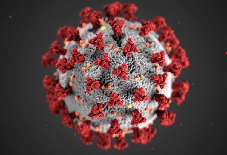 coronavirus illustration from the CDC