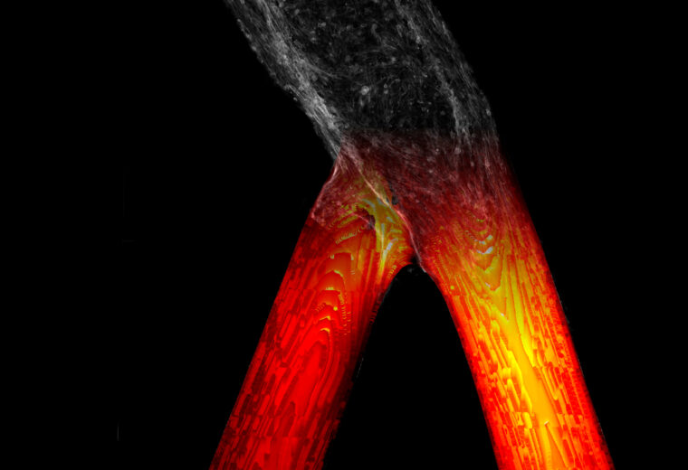 A single dark tube splits into two glowing red tubes