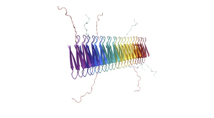 research illustration of a molecule
