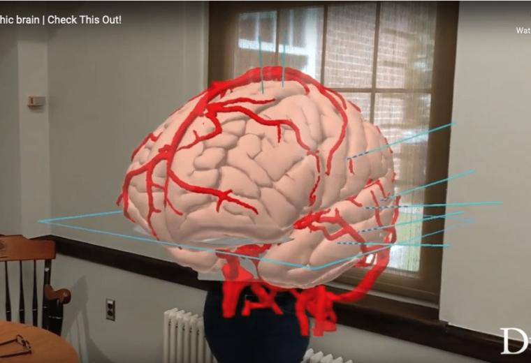 a virtual reality image of a human brain