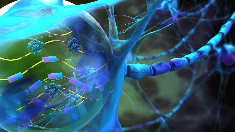 artist rendition of microbiology in action inside a cell