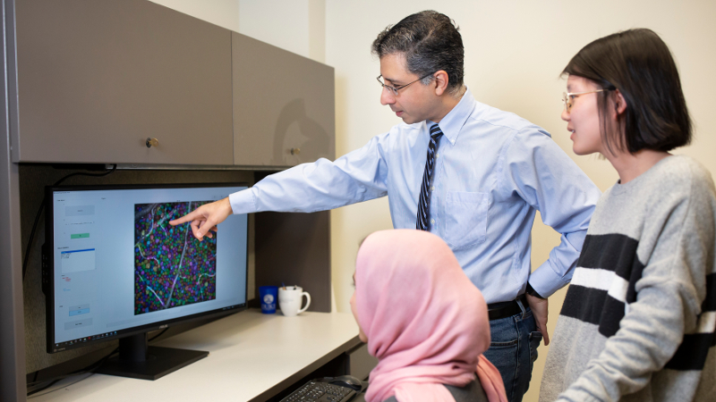 A man stands and points at a computer screen with two women colleagues