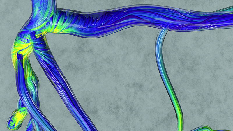 research illustration of color-coded data describing the flow of blood through a vasculature
