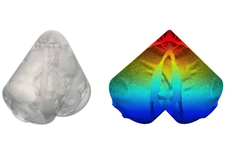 two heart-shaped objects, one black and white and the other rainbow-colored