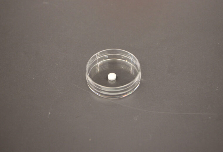 A small tablet in a dish. The small tablet can be placed under the tongue where it immediately dissolves and delivers the vaccine into the body