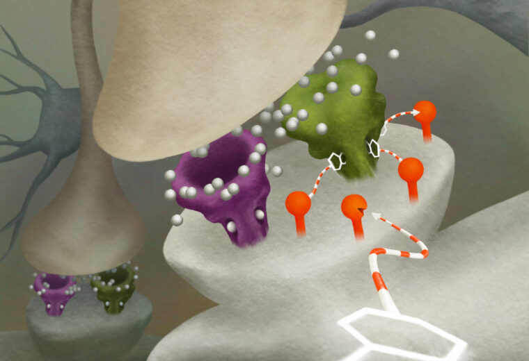 research illustration of chemical signals moving between neurons