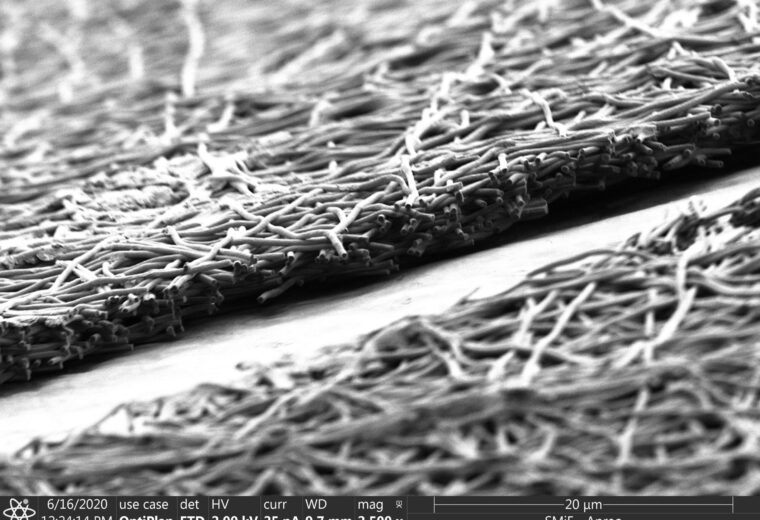 Scanning electron micrographs show the detailed fibers of the SF membranes