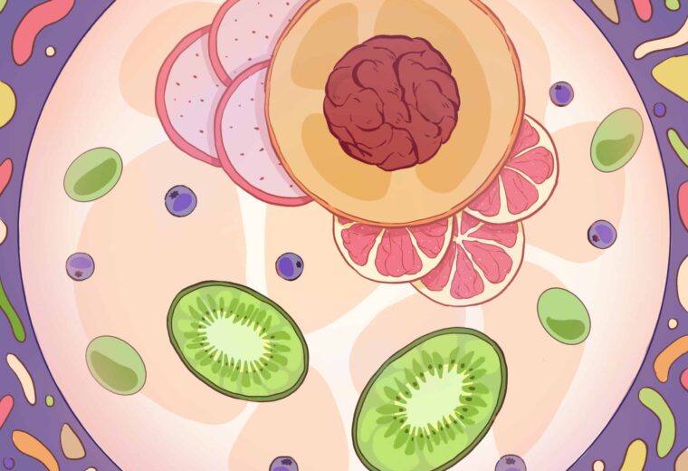 Artistic illustration of fruit inside a cell